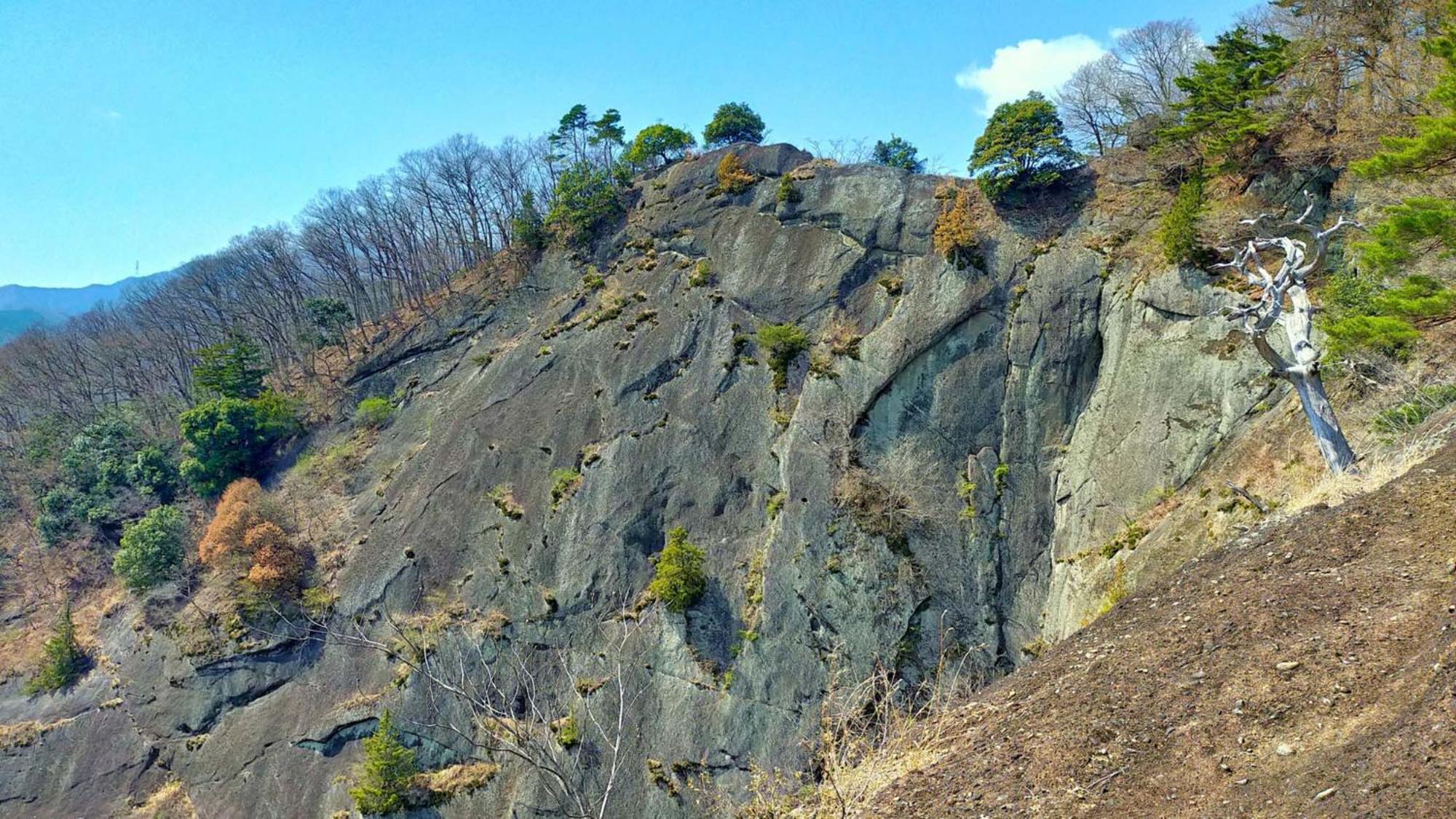 Toyoko Inn Fujisan Otsuki-Eki Otsuki  Luaran gambar